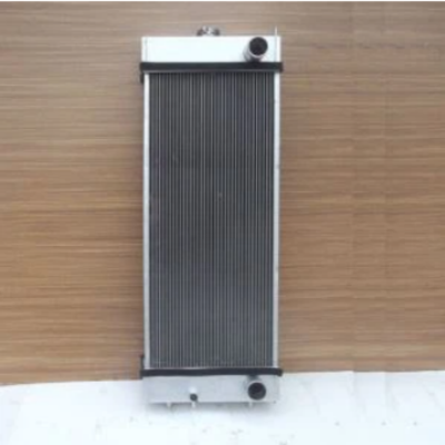 419-03-11202 Noyau de radiateur