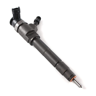 Inyector Bosch 0445110250