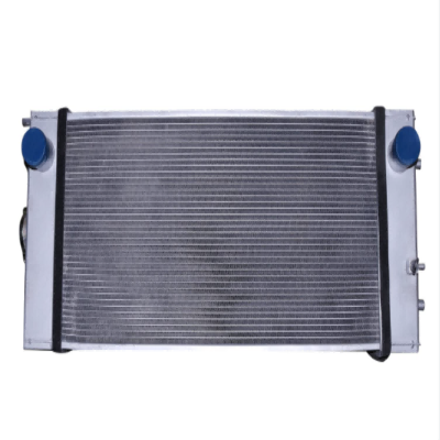 418-03-21541 Conjunto del núcleo del radiador